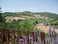 Agriturismo Belmonte